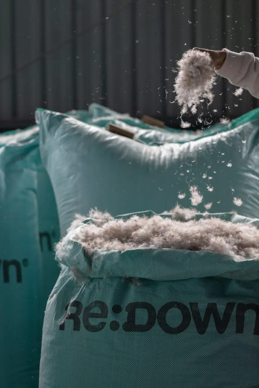 Content of ReDown recycled down bags