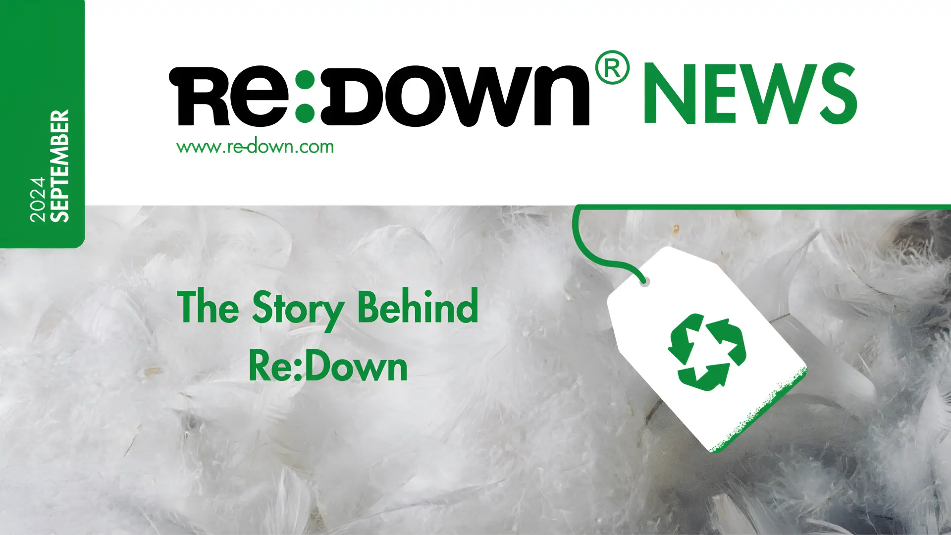 Newsletter Re:Down September issue 2024