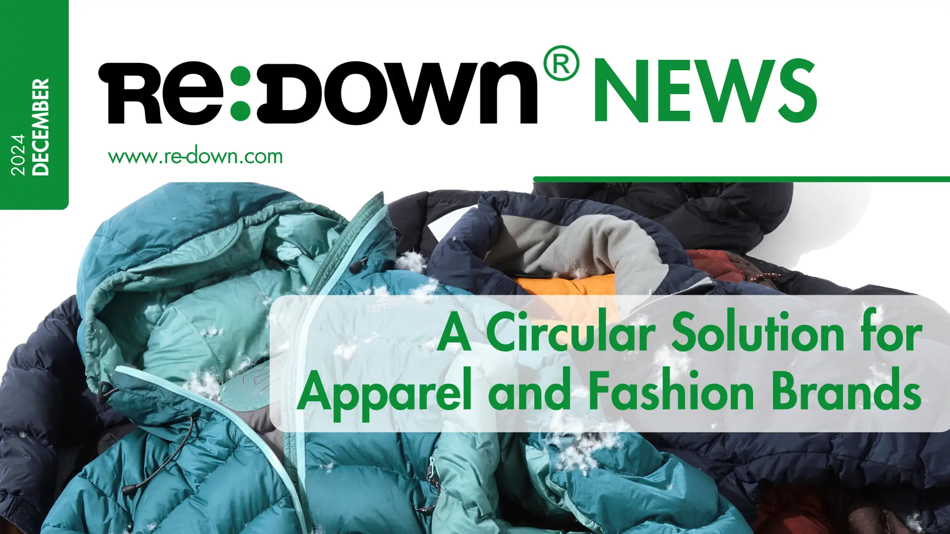 Newsletter Re:Down December issue 2024