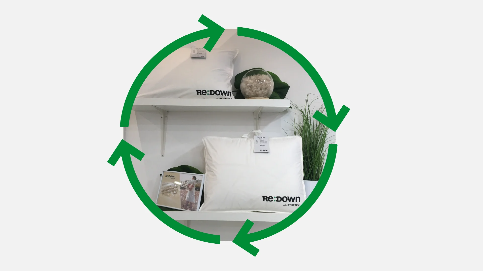 CIRCULAR COMFORT- How Re:Down Helps Hotels Rethink Bedding