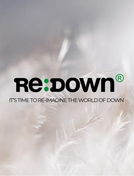 Its time to re imagine the world of down